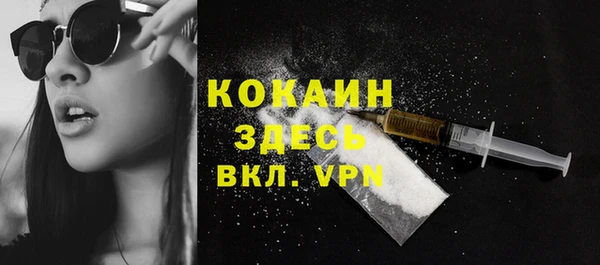 стаф Михайлов