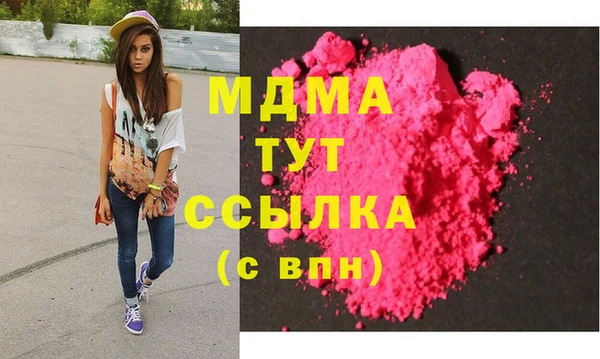 шишки Надым