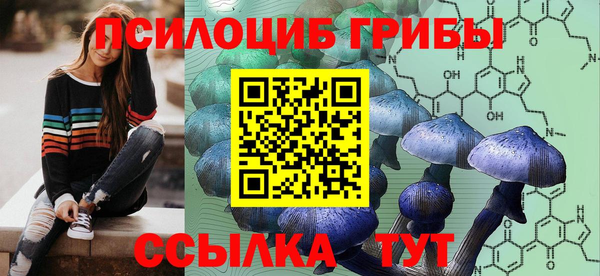Сызрань  Галлюциногенные грибы прущие грибы  Галлюциногенные грибы GOLDEN TEACHER  Вход с VPN 